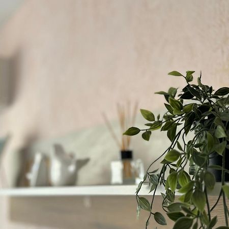 Студия Sea Breeze سفيتي فلاس المظهر الخارجي الصورة